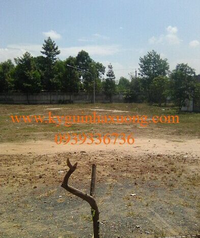 đất cho thuê tại tây ninh