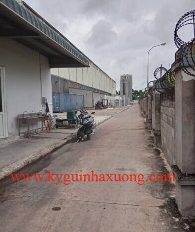 nhà xưởng cho thuê tại Bến Tre