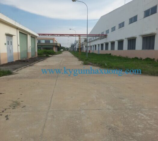 nhà xưởng cho thuê tại Bình Định