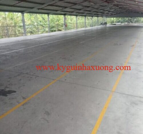 nhà xưởng cho thuê tại cà mau