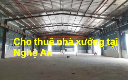 Cho Thuê Nhà Xưởng Tại Nghệ An, Kho Xưởng Giá Tốt, Đa Dạng Diện Tíc