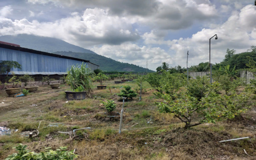 Bán Nhà Xưởng 1600m² Tây Ninh