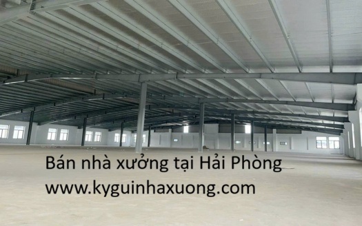 Bán nhà xưởng tại Hải Phòng