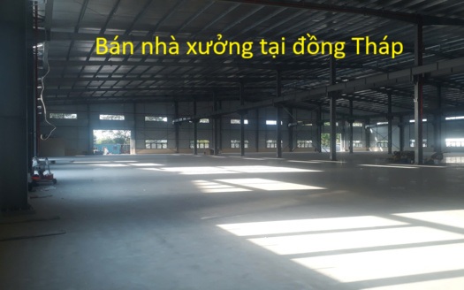 Bán nhà xưởng tại Đồng Tháp