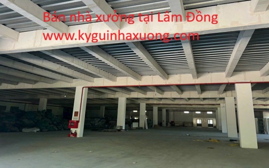 Bán nhà xưởng tại Lâm Đồng