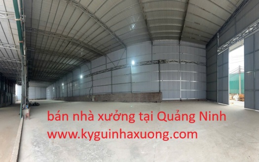Bán nhà xưởng tại Quảng Ninh