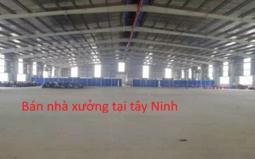 Bán nhà xưởng tại Tây Ninh