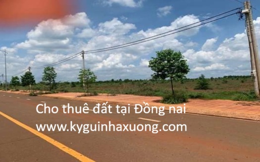 Cho thuê đất tại Đồng Nai